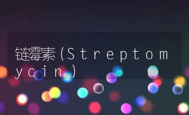 链霉素（Streptomycin） | 动物养殖学堂