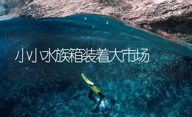 小小水族箱装着大市场 | 海水养殖技术