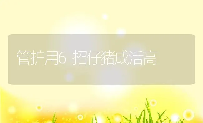 管护用6招仔猪成活高 | 动物养殖饲料