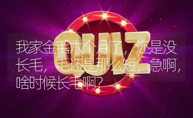 我家金毛六个月了，还是没长毛，毛还是那么短，急啊，啥时候长毛啊？ | 动物养殖问答