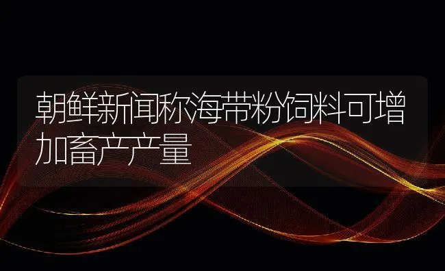 如何确保种公猪在冬季发挥良好的生产性能 | 动物养殖学堂