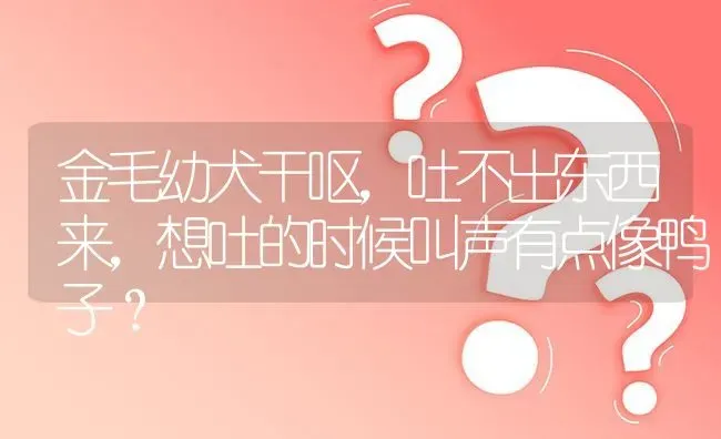 金毛幼犬干呕，吐不出东西来，想吐的时候叫声有点像鸭子？ | 动物养殖问答