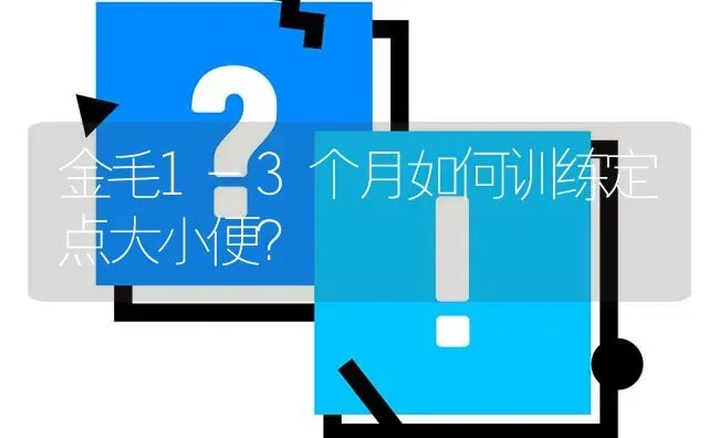 金毛1-3个月如何训练定点大小便？ | 动物养殖问答