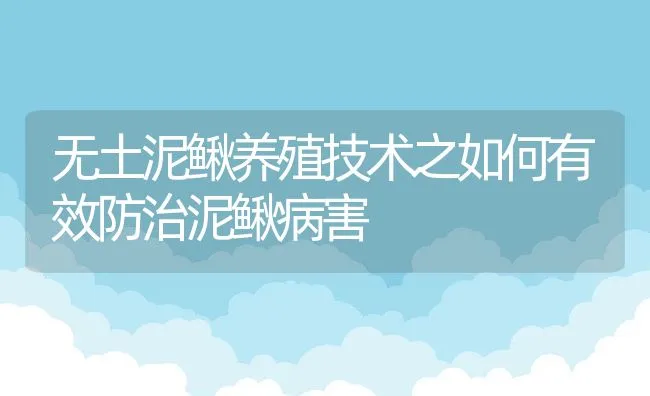 鳗鱼养殖常见病细菌性烂鳃病防治 | 海水养殖技术