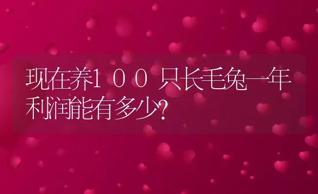 现在养100只长毛兔一年利润能有多少？ | 动物养殖百科