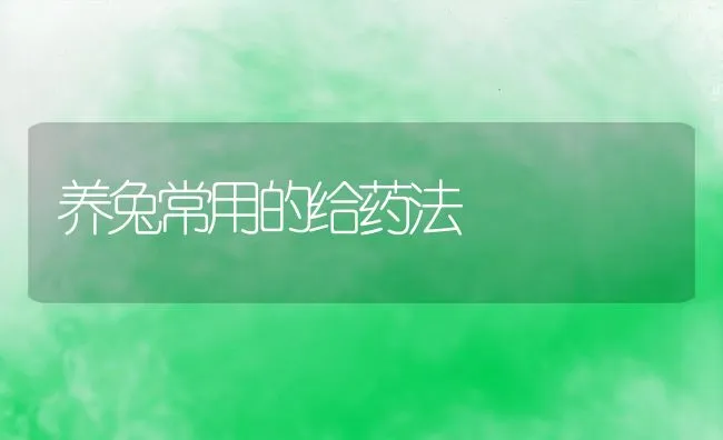 养兔常用的给药法 | 水产养殖知识