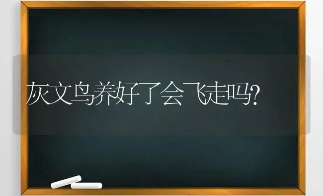 灰文鸟养好了会飞走吗？ | 动物养殖问答