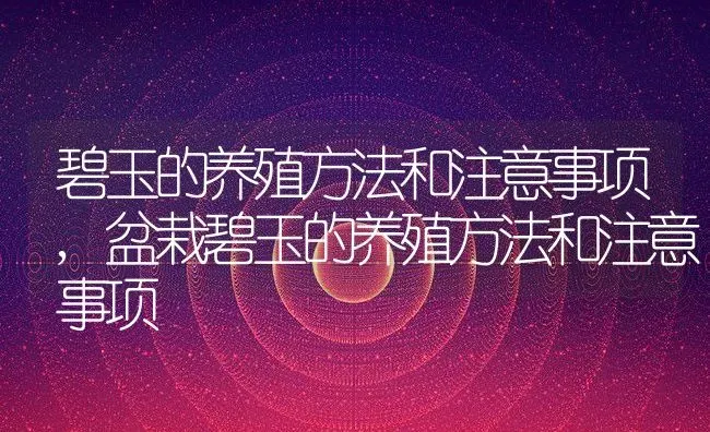 碧玉的养殖方法和注意事项,盆栽碧玉的养殖方法和注意事项 | 宠物百科知识