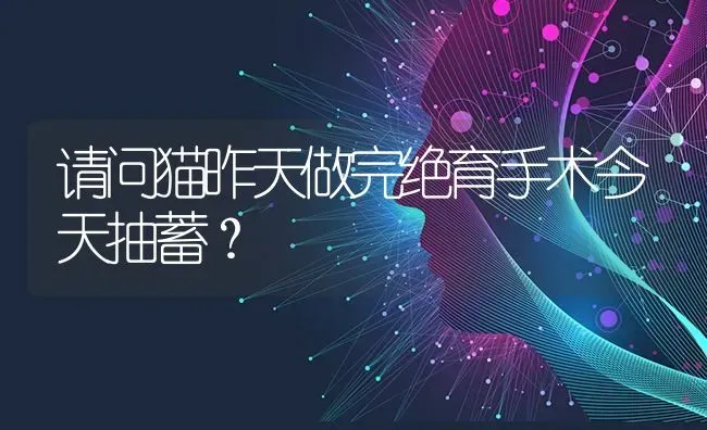 请问猫昨天做完绝育手术今天抽蓄？ | 动物养殖问答