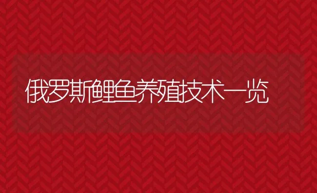 罗非鱼亲种培育及繁殖 | 海水养殖技术