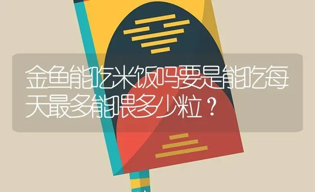 金鱼能吃米饭吗要是能吃每天最多能喂多少粒？ | 鱼类宠物饲养