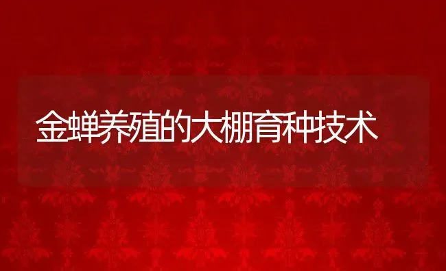 金蝉养殖的大棚育种技术 | 动物养殖教程