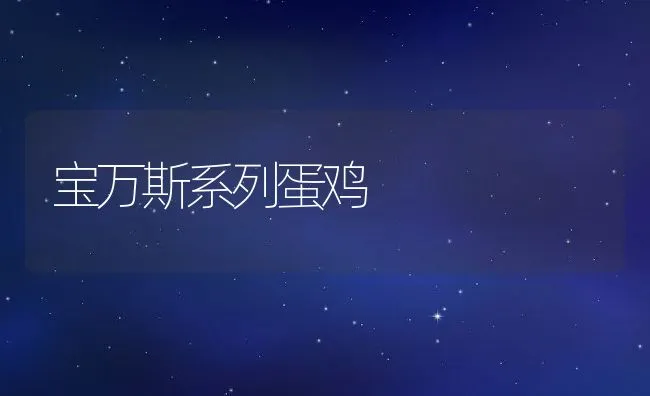 宝万斯系列蛋鸡 | 水产养殖知识