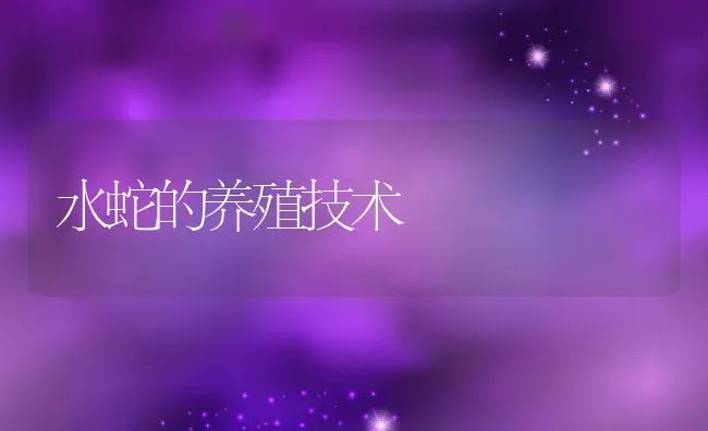 黄鳝的暂养催肥技术 | 动物养殖学堂