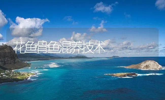 花鱼骨鱼混养技术 | 海水养殖技术