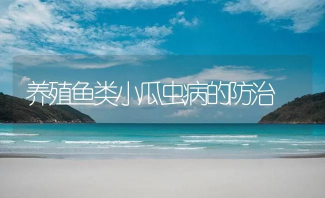 养殖鱼类小瓜虫病的防治 | 海水养殖技术