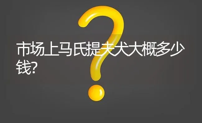 市场上马氏提夫犬大概多少钱？ | 动物养殖问答