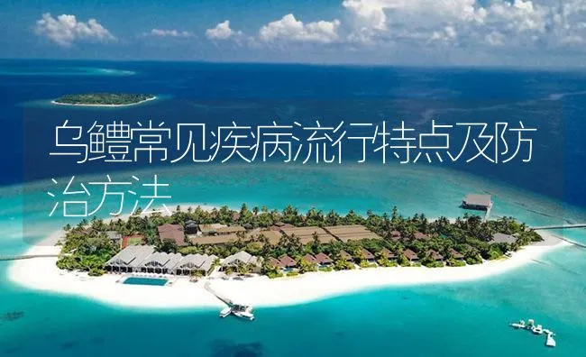 乌鳢常见疾病流行特点及防治方法 | 海水养殖技术