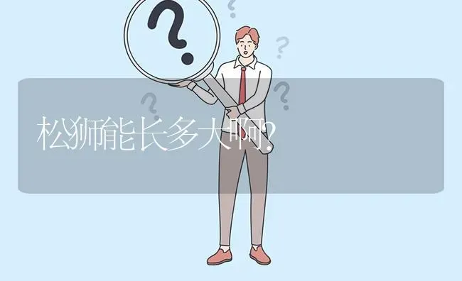 松狮能长多大啊？ | 动物养殖问答