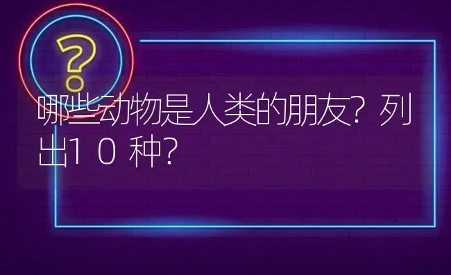 哪些动物是人类的朋友？列出10种？ | 动物养殖问答