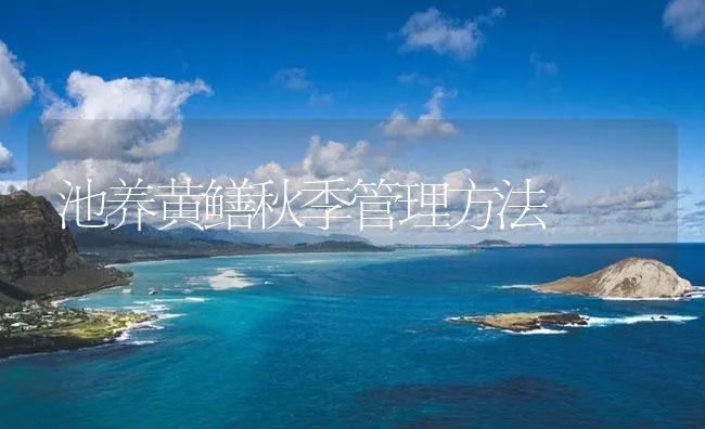 池塘编织布造礁海参养殖技术 | 海水养殖技术