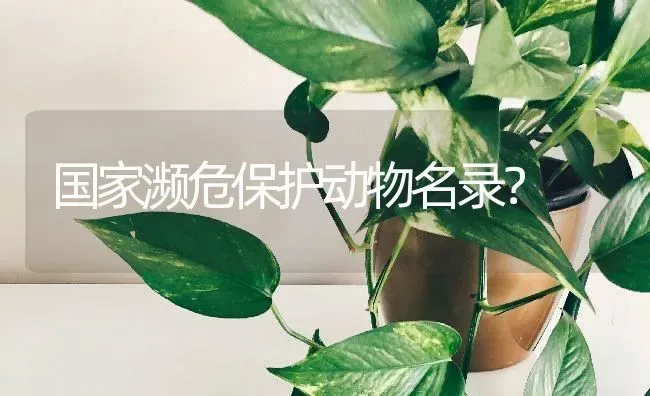 国家濒危保护动物名录？ | 动物养殖问答