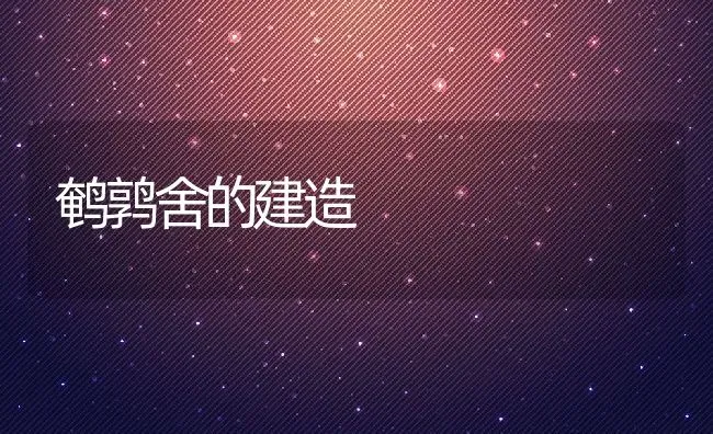 鹌鹑舍的建造 | 动物养殖教程