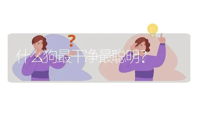 家养杜宾和罗威纳哪个好？ | 动物养殖问答