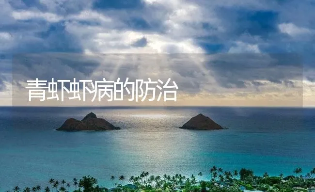 青虾虾病的防治 | 海水养殖技术