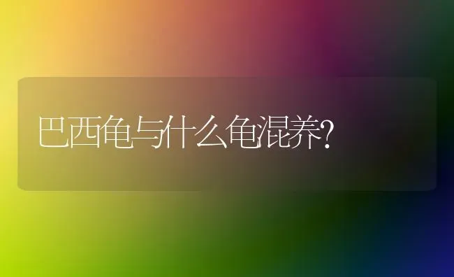 巴西龟与什么龟混养？ | 动物养殖问答