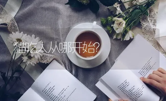 狗狗精神不好总是趴着是怎么回事？ | 动物养殖问答