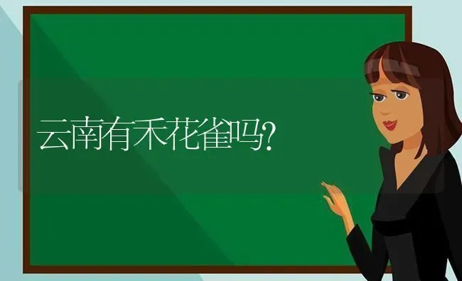 7个月的蓝猫注意事项？ | 动物养殖问答