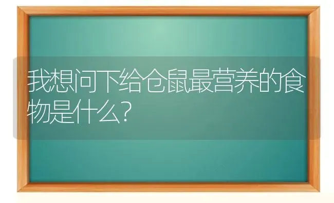 我想问下给仓鼠最营养的食物是什么？ | 动物养殖问答