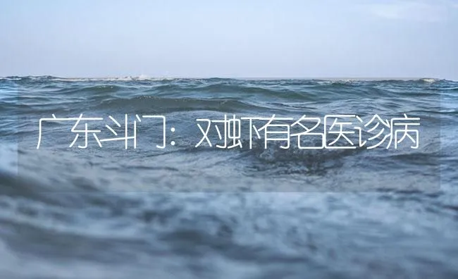 广东斗门：对虾有名医诊病 | 海水养殖技术