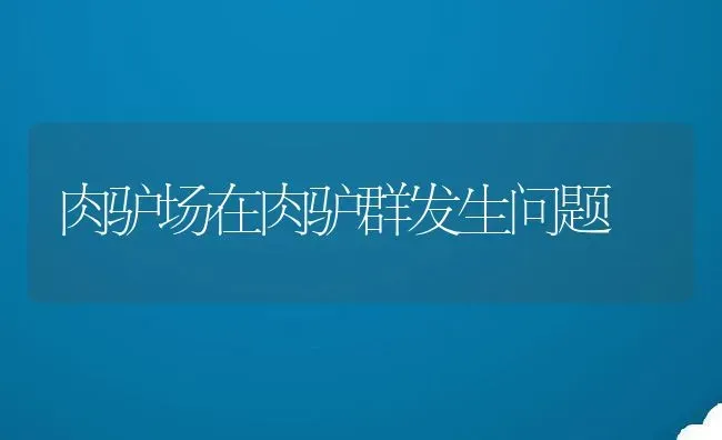 肉驴场在肉驴群发生问题 | 动物养殖教程