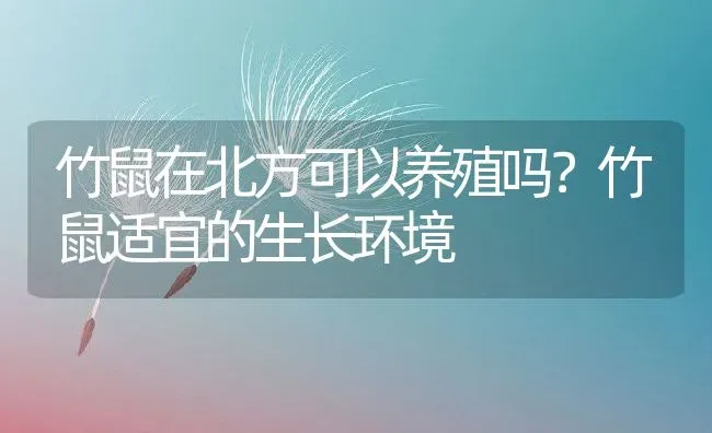 竹鼠在北方可以养殖吗？竹鼠适宜的生长环境 | 动物养殖百科