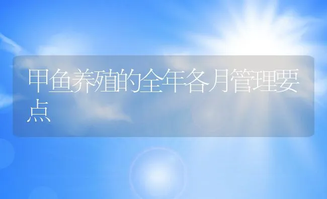 甲鱼养殖的全年各月管理要点 | 动物养殖学堂