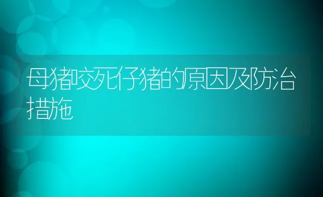 母猪咬死仔猪的原因及防治措施 | 动物养殖学堂