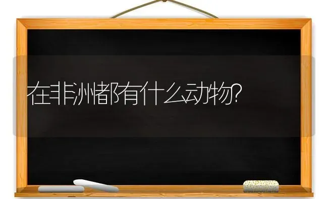 在非洲都有什么动物？ | 动物养殖问答