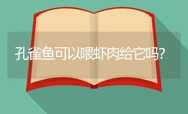 孔雀鱼可以喂虾肉给它吗？ | 鱼类宠物饲养