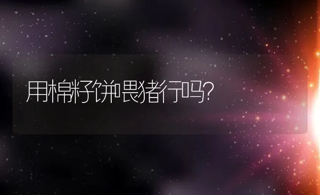 高、低产鸭的识别 | 动物养殖学堂