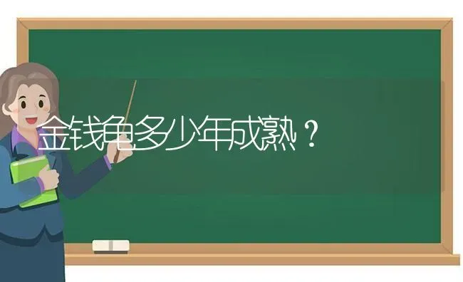 金钱龟多少年成熟？ | 动物养殖问答