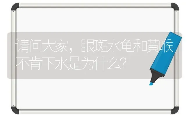 我家狗狗耳朵后面长了个硬包，不知道是什么东西，我家这里没有能给狗？ | 动物养殖问答