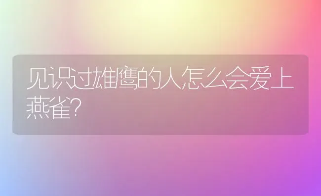 见识过雄鹰的人怎么会爱上燕雀？ | 动物养殖问答