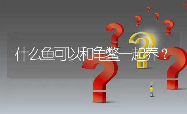 小精灵和老虎小精灵有什么区别？ | 鱼类宠物饲养