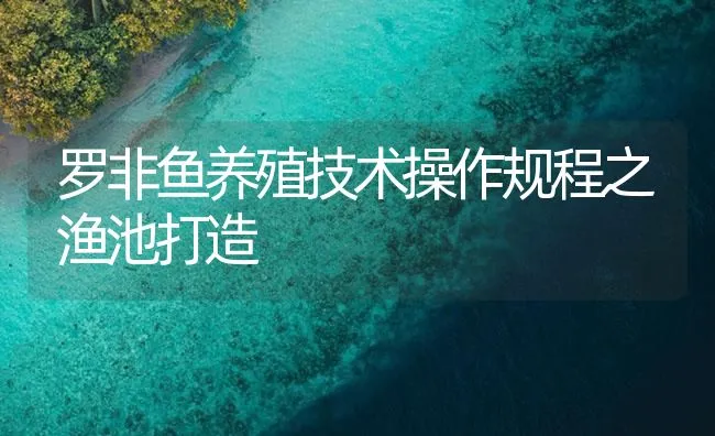 罗非鱼养殖技术操作规程之渔池打造 | 海水养殖技术