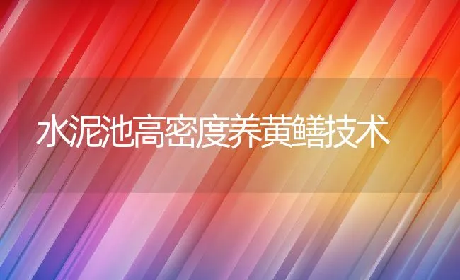 水泥池高密度养黄鳝技术 | 水产养殖知识