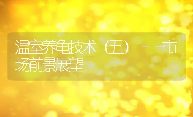 温室养龟技术（五）――市场前景展望 | 水产养殖知识