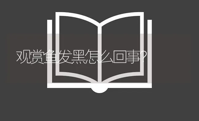 观赏鱼发黑怎么回事？ | 鱼类宠物饲养