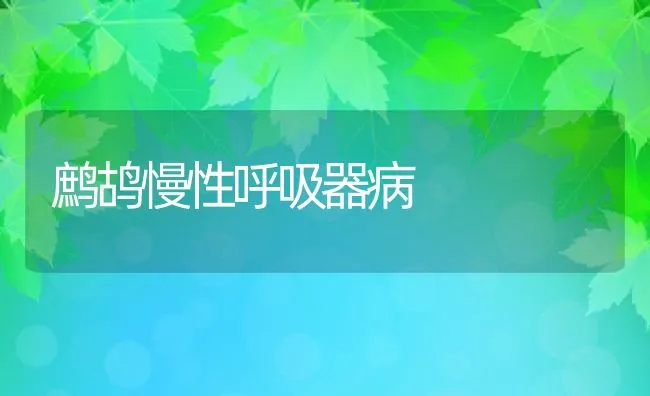 鹧鸪慢性呼吸器病 | 水产养殖知识